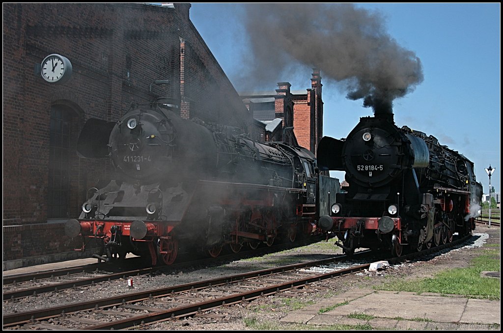 52 8184-5 nebelt 41 1231-4 so richtig ein (Dampflokfest im Traditionsbahnbetriebswerk Stafurt, gesehen Stafurt-Leopoldshall 05.06.2010)