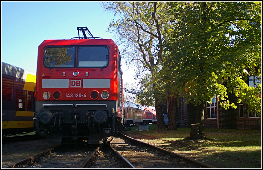 DB 143 120-4 mit einem Dosto-Zug auf dem Fest (gesehen Bw-Fest Lutherstadt Wittenberg 10.10.2010)