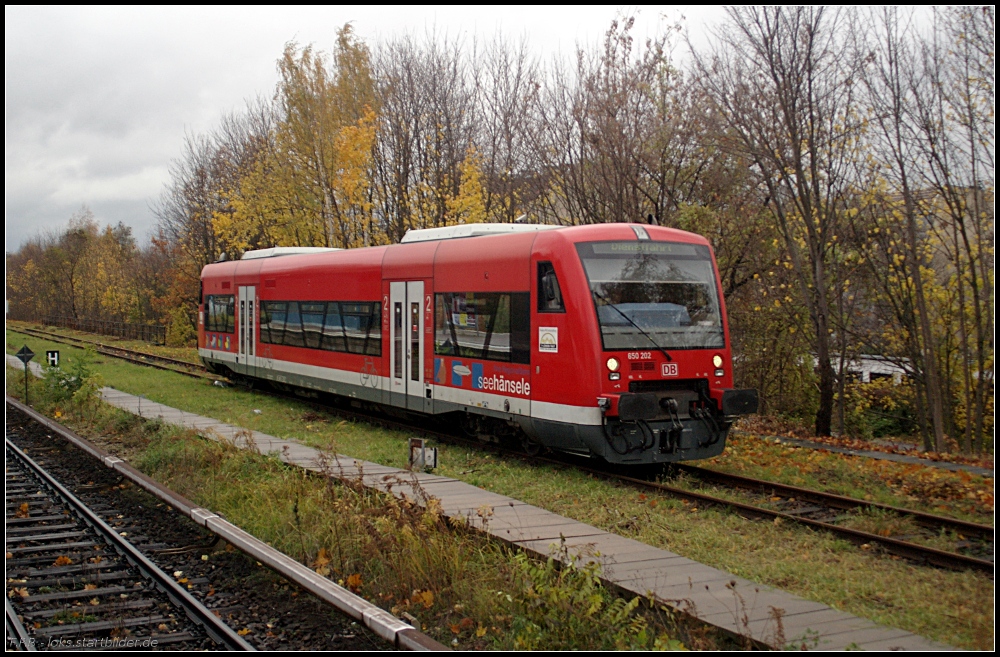 DB Regio 650 202  seehänsele  der Bodenseegürtelbahn kommt aus Reinickendorf und fährt weiter zum Nordkreuz. Dieser RS1 besitzt eine abgewandelte Ausstattung: Klappsitze an einer Längsachse um auch Fahrräder transportieren zu können (gesehen Berlin Wollankstraße 04.11.2010)