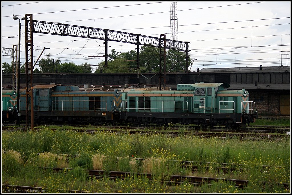 PKP SM42-860 steht abgestellt an der Spitze etlicher weiterer SM42 (gesehen Szczecin 12.06.2010)