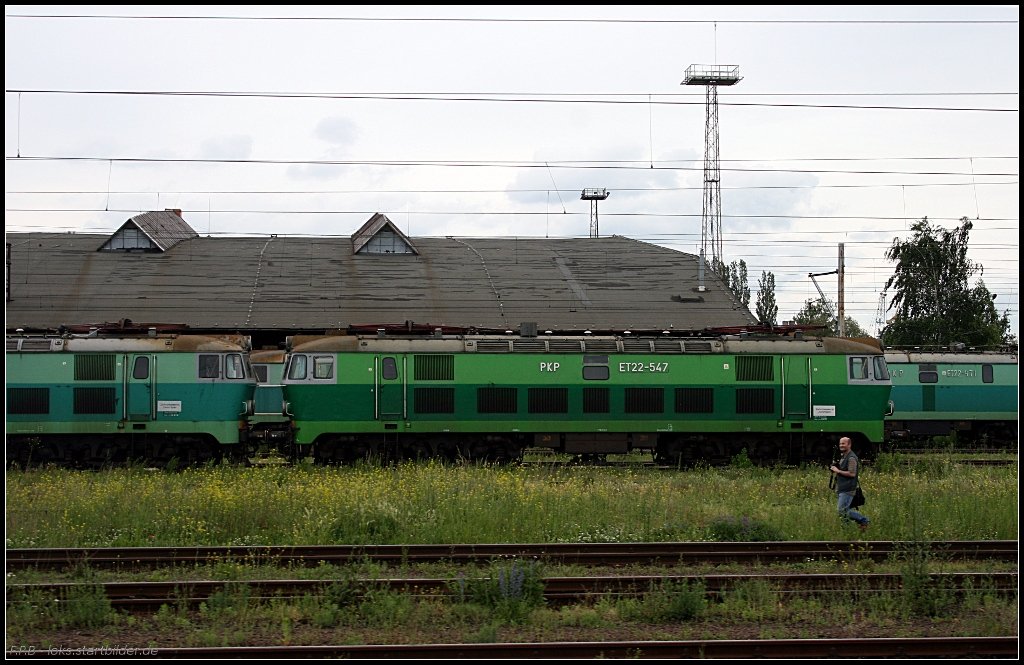 PKPIC ET22-547 in einer Reihe weiterer abgestellter E-Loks. Der Fotograf im Vordergrund freut sich ber die Vorbeifahrt der PM36-2 (gesehen Szczecin 12.06.2010)