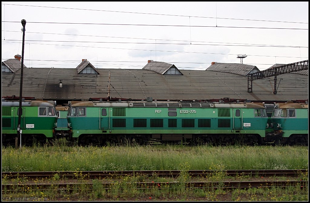 PKPIC ET22-775 steht inmitten einer Reihe weiterer Loks abgestellt (gesehen Szczecin 12.06.2010)