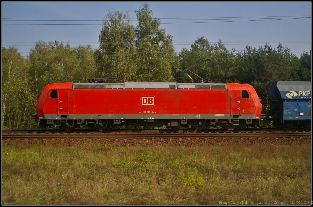 Die Mannheimer 185 005-6 von DB Schenker Rail mit Falns-Wagen von PKP Cargo am 16.09.2014 durch die Berliner Wuhlheide (NVR-Nummer 91 80 6185 005-6 D-DB)