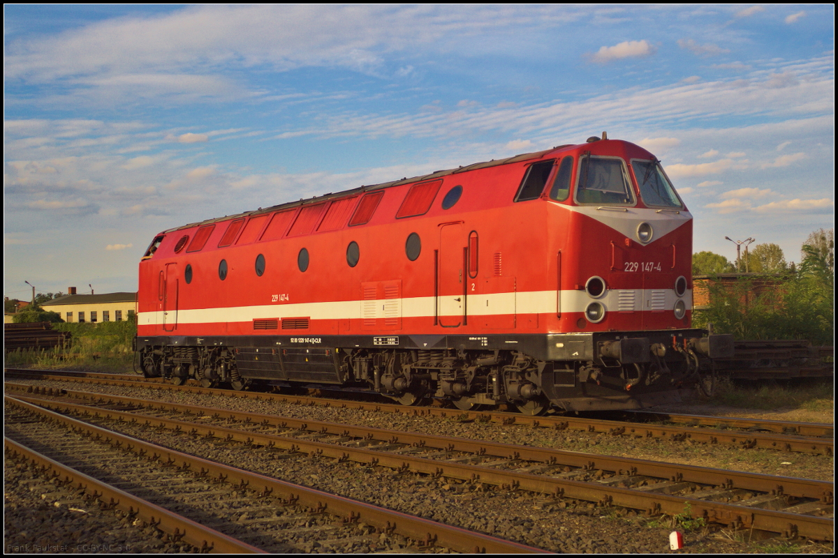 Gebaut wurde 229 147-4 ursprünglich in Rumänien und wurde 1983 in die DDR geliefert wo sie in Dresden als 119 147-7 ihren Dienst aufnahm. 1993 wurde die Lok umgebaut und in 229 147-4 umgezeichnet. Zuletzt war die Lok bei DB Netz im Einsatz von wo sie dann zur Cargo Logistik Rail-Service GmbH, Barleben (CLR) wechselte.