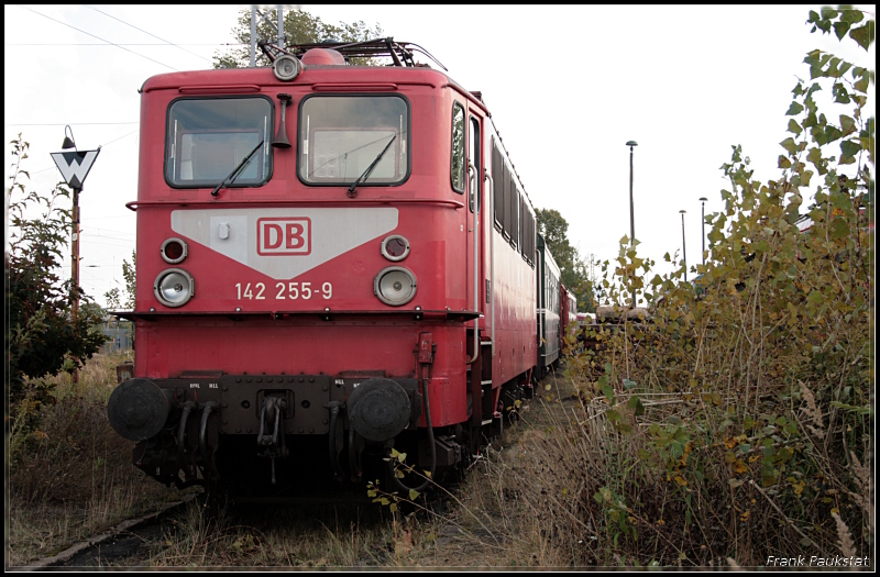 DB Railion 142 255-9 in orientrot und mit Latz, der DB-Holzroller auf dem Eisenbahnfest (Bw Schöneweide 04.10.2009)