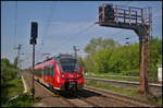 br-442.1/558649/db-regio-442-125-1-kam-am DB Regio 442 125-1 kam am 11.05.2017 zum planmigen Halt in den Bahnhof Berlin-Hohenschnhausen eingefahren.