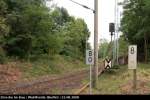Impression: Signal funktioniert noch, aber wo ist das Gleis? (Berlin Wuhlheide, 23.08.2008)