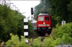 DB Schenker 232 379-8 (ex 132 379-9) mit dem Berlin-Warschau-Express im grünen  Tunnel  (Berlin Biesdorf, 20.06.2009)    - Update: ++ 11.2013 bei TSR in Magdeburg