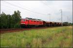 DB 232 704-7 (ex 132 704-8) mit Facns.133-Wagen (Berlin Wuhlheide, 29.06.2009 - Update: 09/2012 in Nrnberg Rbf abgestellt; 10/2012 nach Chemnitz berfhrt)