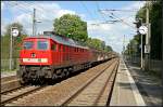 DB 232 529-8 mit Transwaggon-Wagen Richtung Berlin (gesehen Grnheide Fangschleuse 25.05.2010 - Update: 03/2013 in Halle G abgestellt)