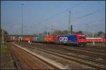 KW 41/99019/locon-482-044-5-mit-containerzug-ex LOCON 482 044-5 mit Containerzug (ex TXL, Eigentum SBB cargo Basel, gesehen Bebra 14.10.2010)