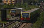 S-Bahn-Entgleisung in Berlin Tegel: Whrend der Betrieb zwischen Tegel und Teltow Stadt am Morgen wieder aufgenommen wurde, sind zwei Wagen des Unglckszugs auf ein Stumpfgleis Hhe Stellwerk Tgl