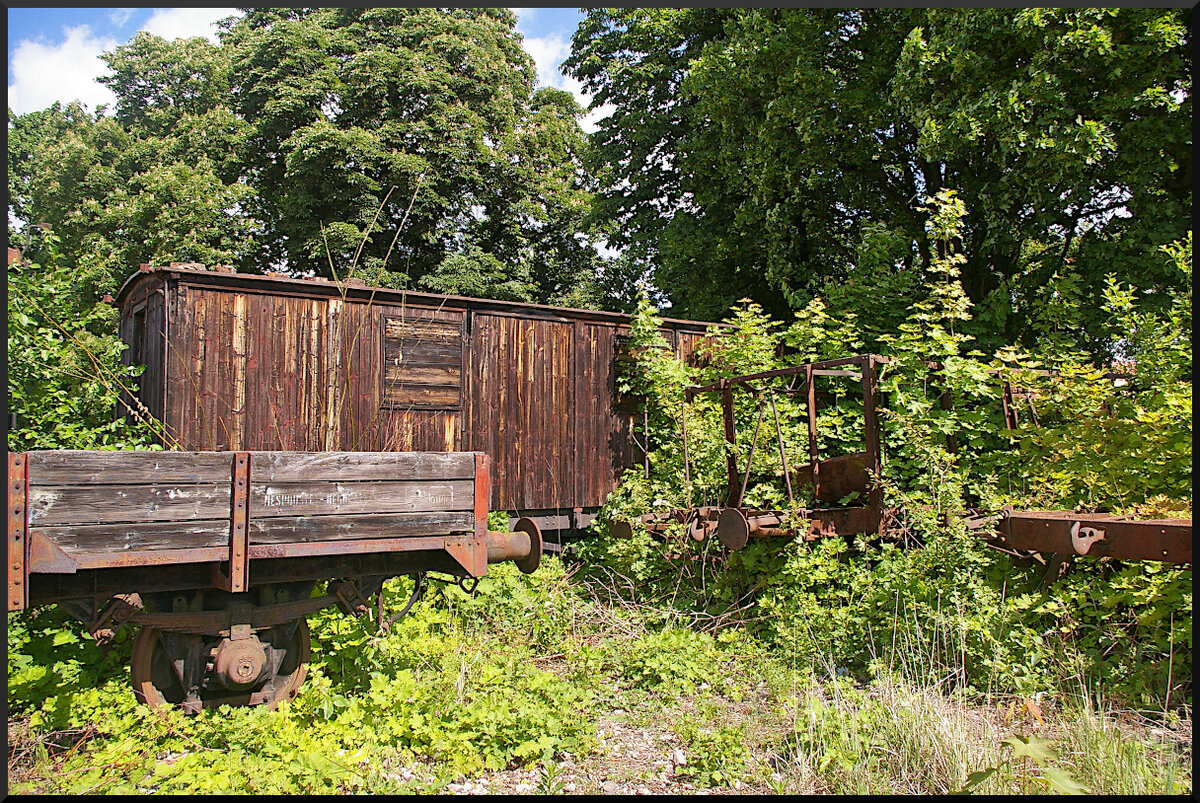 Die  grüne Ecke  im Eisenbahnmuseum Jaroměř. Die Natur holt sich bereits abgestellte Güterwagen zurück.

Eisenbahnmuseum Jaroměř, 21.05.2022
