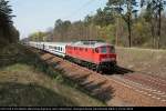 DB Schenker 232 524-9 mit dem Berlin-Warschau-Express nach Warschau (ohne Logo, ex 132 524-0, gesichtet Grnheide Fangschleuse, 14.04.2009).
<br><br>
- Update: ++ 2018 bei Fa. Bender, Opladen (genaues Datum unbekannt)