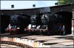 44 1182-3, 50 3695-9 und 52 8184-5 lugten aus dem Lokschuppen (Dampflokfest im Traditionsbahnbetriebswerk Stafurt, gesehen Stafurt-Leopoldshall 05.06.2010)