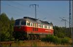 Blick hinterher: DB Schenker 232 045-5 solo am 28.08.2014 durch die Berliner Wuhlheide (NVR-Nummer 92 80 1232 045-5 D-DBSPL)