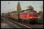 DB 233 249-2 mit Seitenschiebewandwagen zum Karower Kreuz (Berlin Karow 28.04.2010 - Update: 01.2011 in Saalfeld z-gestellt; 29.04.2013 in AW Chemnitz vh)