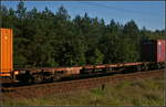 Vierachsiger Drehgestell-Containertragwagen der Gattung Sgs des Einstellers AAE Cargo (37 RIV 80 D-AAEC 4542 552-7 Sgs)