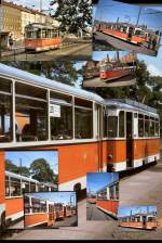 REKO-Fahrzeuge BERLIN