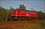 EBM Cargo 140 003-5 setzte sich am 09.07.2017 im besten Abendlicht in der Berliner Wuhlheide in Szene.